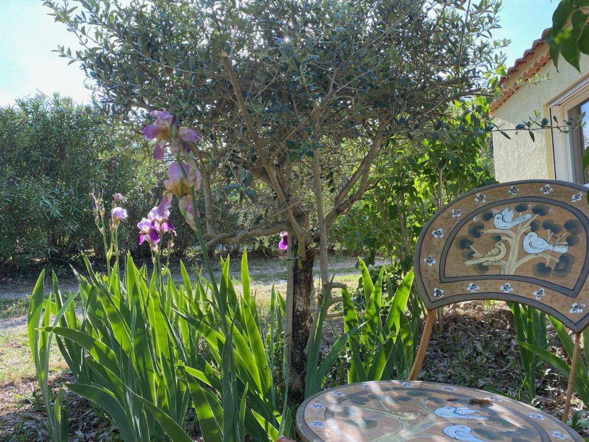 Bed and Breakfast L'Eveil En Provence Entrecasteaux Esterno foto